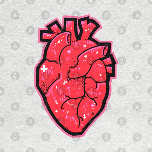 Anatomical heart red and pink by weilertsen